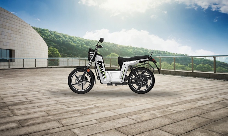 Moped Electric bike
